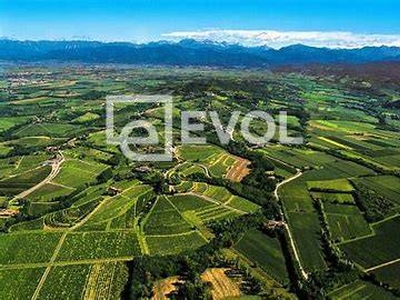 azienda agricola in vendita a Corno di Rosazzo