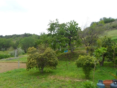 rustico / casale in vendita a Cupra Marittima