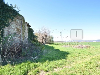 terreno agricolo in vendita a Montegalda