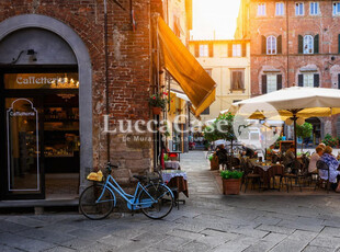 Affitto A - Locale commerciale Lucca - Centro storico