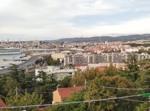Affitto Appartamento in Trieste