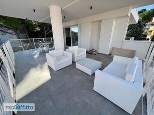 Appartamento arredato con terrazzo Centro