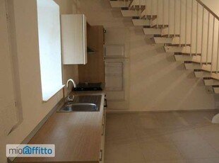 Appartamento arredato con terrazzo Centro