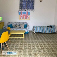 Appartamento arredato con terrazzo Centro