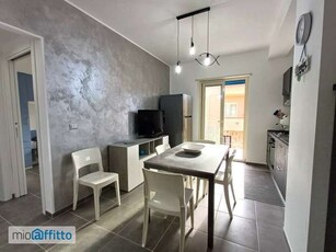 Appartamento arredato con terrazzo Centro