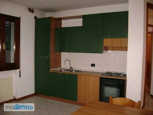 Appartamento arredato con terrazzo Centro