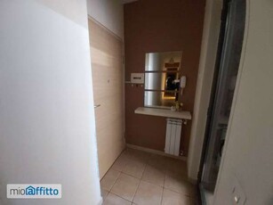 Appartamento arredato con terrazzo Centro