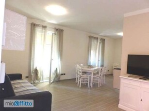 Appartamento arredato con terrazzo Centro