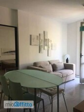 Appartamento arredato con terrazzo Centro