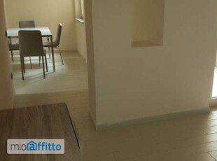 Appartamento arredato con terrazzo Centro