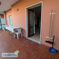 Appartamento arredato con terrazzo Centro