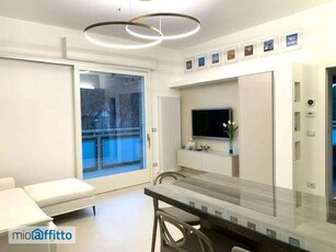 Appartamento arredato con terrazzo Milano marittima