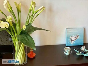 Appartamento arredato con terrazzo Milano marittima