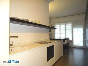 Appartamento arredato con terrazzo Milano marittima