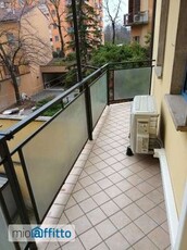 Appartamento arredato con terrazzo Piacenza