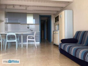 Appartamento arredato con terrazzo Pisa