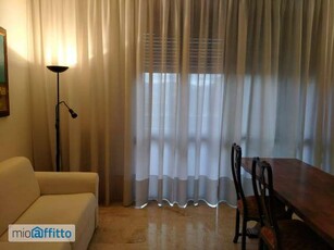 Appartamento arredato con terrazzo Rifredi