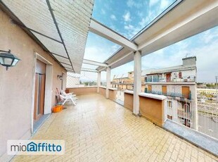 Appartamento arredato con terrazzo San biagio, cazzaniga