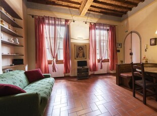 Appartamento con 1 camera da letto in affitto a Firenze