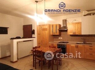 Appartamento in Affitto in Via Marchesi Luigi e Salvatore a Parma