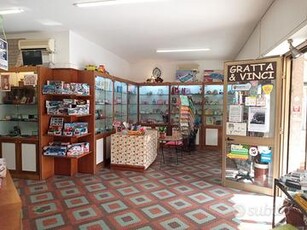 Attività di tabaccheria in Castelnuovo Magra