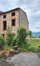 Azienda agricola in Vendita a Capannori Lombarda Lammari