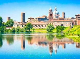 Bar in Vendita in Via Giuseppe Verdi 14 a Mantova