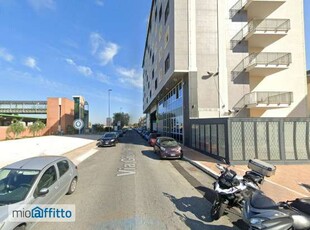 Bilocale arredato con terrazzo Fiumicino