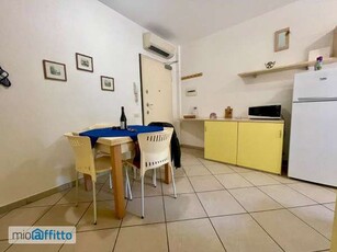 Bilocale arredato con terrazzo Pisa