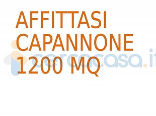 Capannone industriale in ottime condizioni in affitto a Alessandria