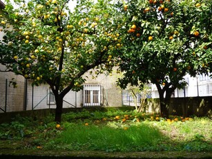 Casa semindipendente in vendita