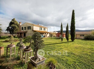 Negozio/Locale commerciale in Vendita in Strada Provinciale Poggio alla Mozza a Magliano in Toscana