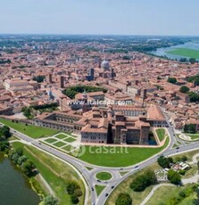 Negozio/Locale commerciale in Vendita in Viale Hermada a Mantova