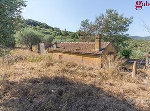 Rustico/Casale/Corte Monte Argentario (Porto Santo