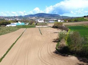 Terreno agricolo a Castelfidardo