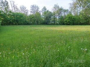 Terreno agricolo a Nibionno