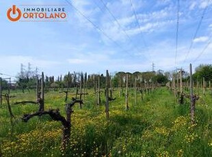 Terreno Agricolo - Fogliano Redipuglia