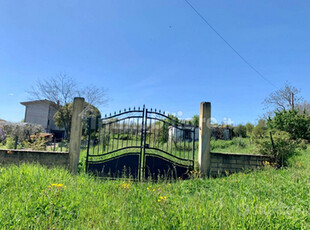 Terreno agricolo Genazzano