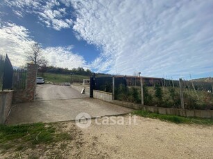 Terreno agricolo in Affitto in Via Ponte Delle Tavole a Palombara Sabina