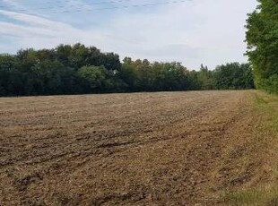 Terreno agricolo in Vendita a Castello di Godego