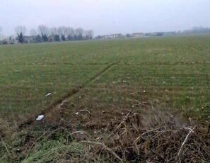 Terreno agricolo in Vendita a Cittadella