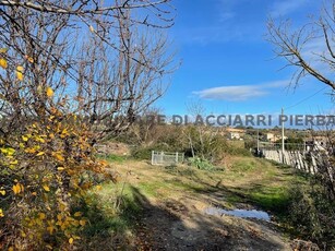 Terreno agricolo in vendita a Massignano