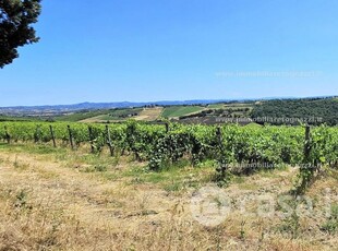 Terreno agricolo in Vendita in a San Gimignano