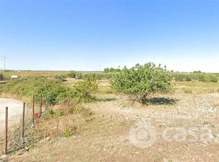 Terreno agricolo in Vendita in Strada Vicinale San Anna a Acquaviva delle Fonti