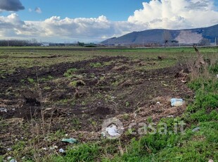 Terreno agricolo in Vendita in Via Aldo Moro 216 a Somma Vesuviana