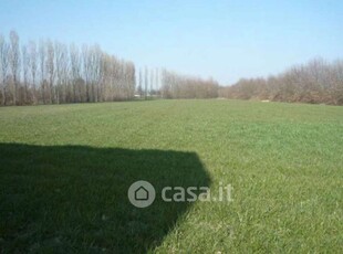 Terreno agricolo in Vendita in Via Cortellazzo a Mogliano Veneto