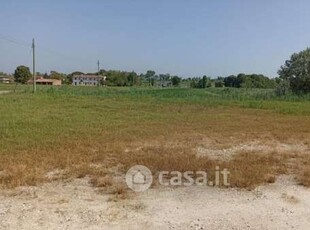 Terreno agricolo in Vendita in Via Marina a Taglio di Po