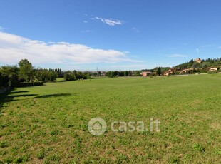 Terreno agricolo in Vendita in Via Terminon a Sona