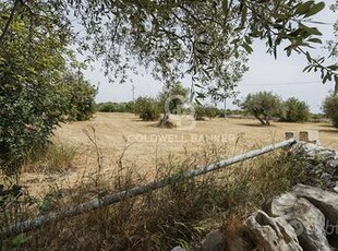 Terreno agricolo - Modica