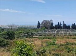 Terreno con rustico e serre a Mascali